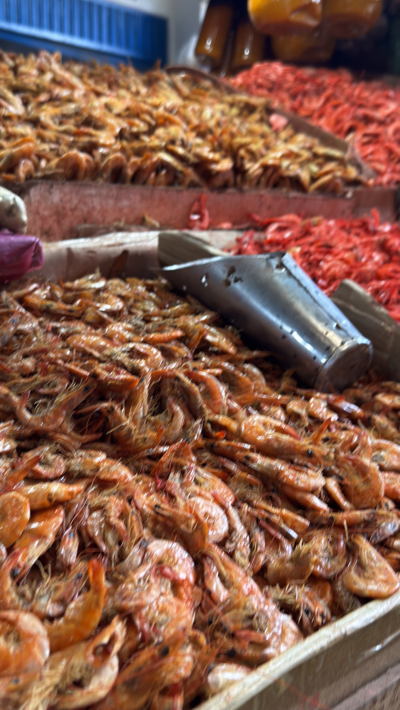 Feira de São Joaquim - Imagem 02